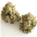 Шишки "White Widow"  (Белая вдова)  Гидропоника -  Бошка VHQ в Мурманске