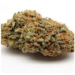 Шишки AK47 (Гидропоника, Бошка) VHQ в Мурманске Шишки AK47 (Гидропоника, Бошка) VHQ в Мурманске